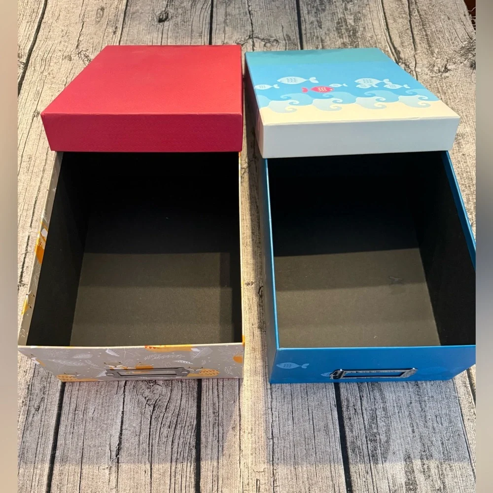 Set of 2 decorative storage boxes. Super cute!